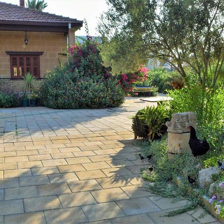 Golden Palms Guest House&Cafe Famagusta  Eksteriør billede