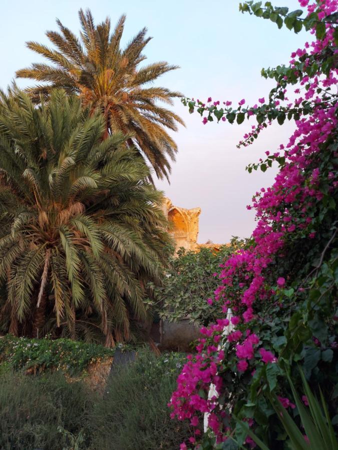 Golden Palms Guest House&Cafe Famagusta  Eksteriør billede