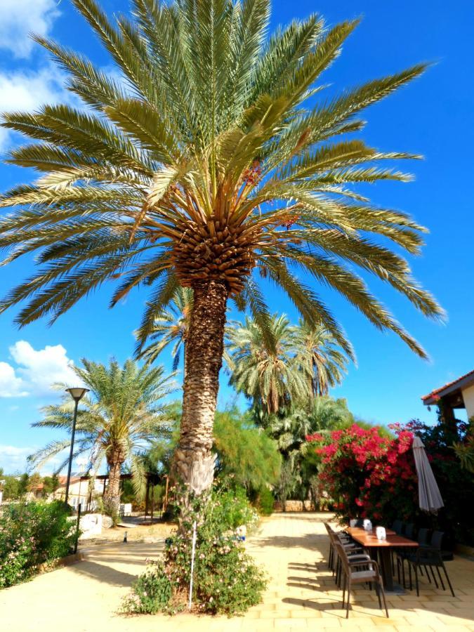 Golden Palms Guest House&Cafe Famagusta  Eksteriør billede